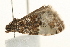  ( - UKLB34A03)  @12 [ ] CreativeCommons - Attribution (2009) Unspecified Centre for Biodiversity Genomics