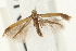 ( - UKLB34A11.fail1)  @11 [ ] CreativeCommons - Attribution (2009) Unspecified Centre for Biodiversity Genomics