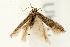  ( - UKLB34C08)  @12 [ ] CreativeCommons - Attribution (2009) Unspecified Centre for Biodiversity Genomics