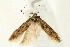  ( - UKLB34C09)  @12 [ ] CreativeCommons - Attribution (2009) Unspecified Centre for Biodiversity Genomics