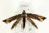  ( - UKLB34C12)  @13 [ ] CreativeCommons - Attribution (2009) Unspecified Centre for Biodiversity Genomics