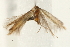  ( - UKLB34E01)  @12 [ ] CreativeCommons - Attribution (2009) Unspecified Centre for Biodiversity Genomics
