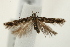  ( - UKLB34E03)  @12 [ ] CreativeCommons - Attribution (2009) Unspecified Centre for Biodiversity Genomics