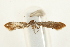  ( - UKLB34F08)  @13 [ ] CreativeCommons - Attribution (2009) Unspecified Centre for Biodiversity Genomics