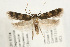  ( - UKLB40A11)  @14 [ ] CreativeCommons - Attribution (2009) Unspecified Centre for Biodiversity Genomics
