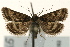  ( - UKLB41A09)  @13 [ ] CreativeCommons - Attribution (2009) Unspecified Centre for Biodiversity Genomics