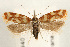  ( - UKLB40B06)  @15 [ ] CreativeCommons - Attribution (2009) Unspecified Centre for Biodiversity Genomics