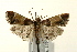  ( - UKLB41B05)  @13 [ ] CreativeCommons - Attribution (2009) Unspecified Centre for Biodiversity Genomics