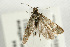  ( - UKLB40B07)  @13 [ ] CreativeCommons - Attribution (2009) Unspecified Centre for Biodiversity Genomics