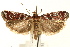  ( - UKLB41B12)  @14 [ ] CreativeCommons - Attribution (2009) Unspecified Centre for Biodiversity Genomics