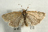  ( - UKLB40C04)  @13 [ ] CreativeCommons - Attribution (2009) Unspecified Centre for Biodiversity Genomics