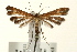 (Marasmarcha - UKLB41C05)  @14 [ ] CreativeCommons - Attribution (2009) Unspecified Centre for Biodiversity Genomics