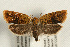  ( - UKLB40C07)  @14 [ ] CreativeCommons - Attribution (2009) Unspecified Centre for Biodiversity Genomics