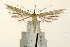  ( - UKLB41C11)  @13 [ ] CreativeCommons - Attribution (2009) Unspecified Centre for Biodiversity Genomics