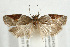  ( - UKLB40D04)  @14 [ ] CreativeCommons - Attribution (2009) Unspecified Centre for Biodiversity Genomics