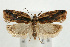  ( - UKLB40D09)  @13 [ ] CreativeCommons - Attribution (2009) Unspecified Centre for Biodiversity Genomics