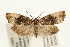 ( - UKLB40E04)  @14 [ ] CreativeCommons - Attribution (2009) Unspecified Centre for Biodiversity Genomics