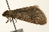  ( - UKLB41E07)  @11 [ ] CreativeCommons - Attribution (2009) Unspecified Centre for Biodiversity Genomics