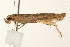  ( - UKLB41E11)  @13 [ ] CreativeCommons - Attribution (2009) Unspecified Centre for Biodiversity Genomics
