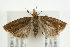  ( - UKLB40F07)  @13 [ ] CreativeCommons - Attribution (2009) Unspecified Centre for Biodiversity Genomics