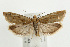  ( - UKLB40F09)  @11 [ ] CreativeCommons - Attribution (2009) Unspecified Centre for Biodiversity Genomics