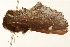  ( - UKLB41F12)  @12 [ ] CreativeCommons - Attribution (2009) Unspecified Centre for Biodiversity Genomics