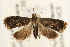  ( - UKLB40G02)  @13 [ ] CreativeCommons - Attribution (2009) Unspecified Centre for Biodiversity Genomics