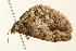  ( - UKLB41G02)  @13 [ ] CreativeCommons - Attribution (2009) Unspecified Centre for Biodiversity Genomics