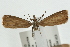  ( - UKLB40G10)  @13 [ ] CreativeCommons - Attribution (2009) Unspecified Centre for Biodiversity Genomics