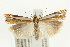  ( - UKLB40G11)  @15 [ ] CreativeCommons - Attribution (2009) Unspecified Centre for Biodiversity Genomics