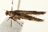  ( - UKLB41H01)  @13 [ ] CreativeCommons - Attribution (2009) Unspecified Centre for Biodiversity Genomics