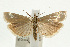  ( - UKLB40H03)  @15 [ ] CreativeCommons - Attribution (2009) Unspecified Centre for Biodiversity Genomics