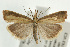  ( - UKLB40H04)  @14 [ ] CreativeCommons - Attribution (2009) Unspecified Centre for Biodiversity Genomics