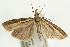  ( - UKLB40H05)  @13 [ ] CreativeCommons - Attribution (2009) Unspecified Centre for Biodiversity Genomics