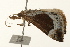  ( - UKLB41H05)  @13 [ ] CreativeCommons - Attribution (2009) Unspecified Centre for Biodiversity Genomics