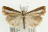  ( - UKLB40H09)  @14 [ ] CreativeCommons - Attribution (2009) Unspecified Centre for Biodiversity Genomics