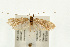  ( - UKLB39A08)  @14 [ ] CreativeCommons - Attribution (2009) Unspecified Centre for Biodiversity Genomics