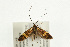  ( - UKLB39A10)  @14 [ ] CreativeCommons - Attribution (2009) Unspecified Centre for Biodiversity Genomics