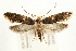  ( - UKLB39B01)  @14 [ ] CreativeCommons - Attribution (2009) Unspecified Centre for Biodiversity Genomics