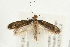  ( - UKLB39B02)  @14 [ ] CreativeCommons - Attribution (2009) Unspecified Centre for Biodiversity Genomics