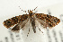  ( - UKLB39E02.fail1)  @11 [ ] CreativeCommons - Attribution (2009) Unspecified Centre for Biodiversity Genomics