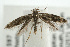  ( - UKLB39F03)  @13 [ ] CreativeCommons - Attribution (2009) Unspecified Centre for Biodiversity Genomics