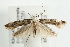  ( - UKLB39F12)  @13 [ ] CreativeCommons - Attribution (2009) Unspecified Centre for Biodiversity Genomics