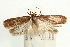  ( - UKLB39G08)  @13 [ ] CreativeCommons - Attribution (2009) Unspecified Centre for Biodiversity Genomics