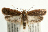  ( - UKLB39G11)  @14 [ ] CreativeCommons - Attribution (2009) Unspecified Centre for Biodiversity Genomics
