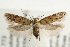  ( - UKLB39H09)  @15 [ ] CreativeCommons - Attribution (2009) Unspecified Centre for Biodiversity Genomics