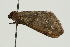  ( - UKLB38A07)  @11 [ ] CreativeCommons - Attribution (2009) Unspecified Centre for Biodiversity Genomics