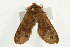  ( - UKLB38A12)  @13 [ ] CreativeCommons - Attribution (2009) Unspecified Centre for Biodiversity Genomics