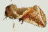  ( - UKLB38C03)  @11 [ ] CreativeCommons - Attribution (2009) Unspecified Centre for Biodiversity Genomics