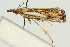  ( - UKLB38C05)  @11 [ ] CreativeCommons - Attribution (2009) Unspecified Centre for Biodiversity Genomics